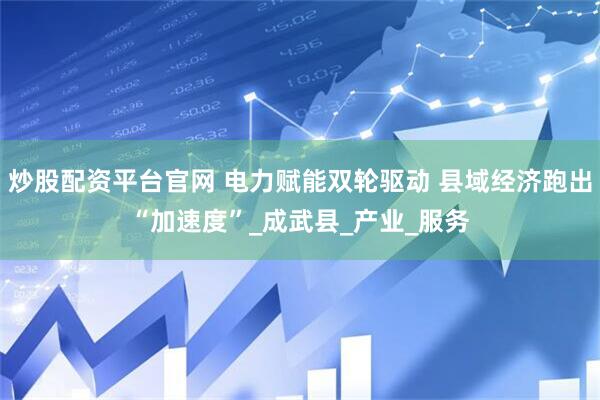 炒股配资平台官网 电力赋能双轮驱动 县域经济跑出“加速度”_成武县_产业_服务